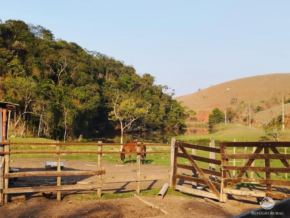 Fazenda, 131 hectares - Foto 10