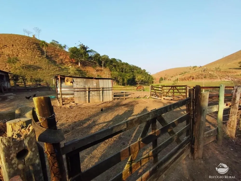 Fazenda, 131 hectares - Foto 9