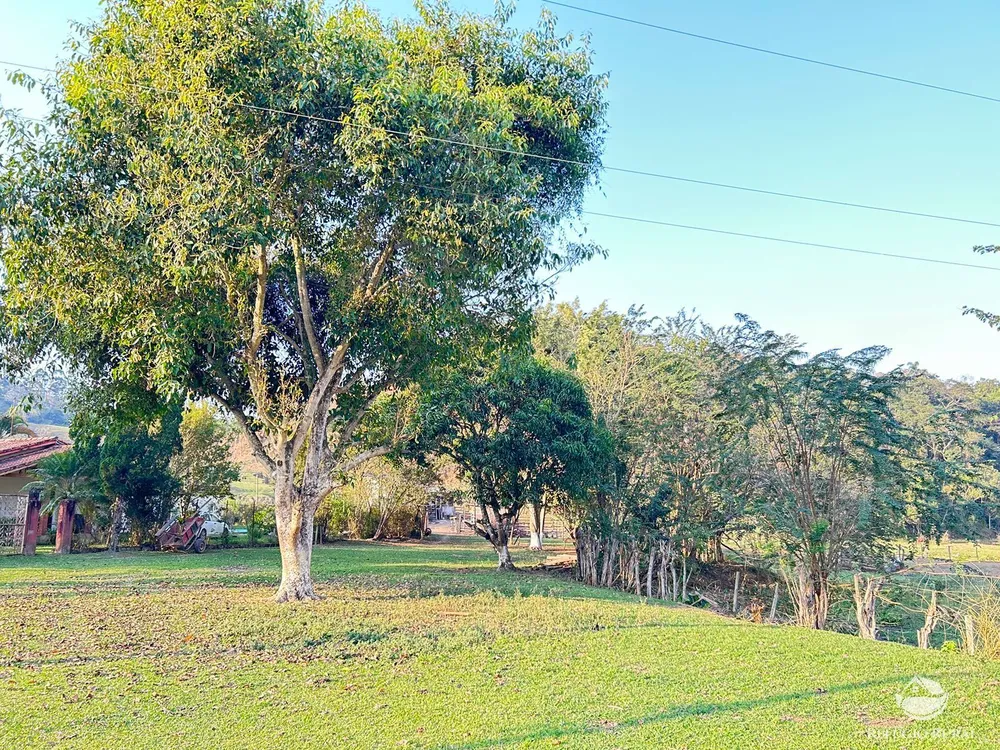Fazenda, 131 hectares - Foto 4