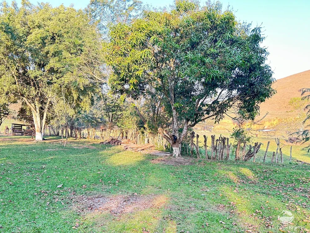 Fazenda, 131 hectares - Foto 3