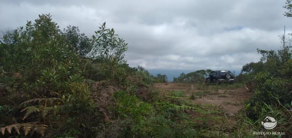 Terreno, 2 hectares - Foto 7