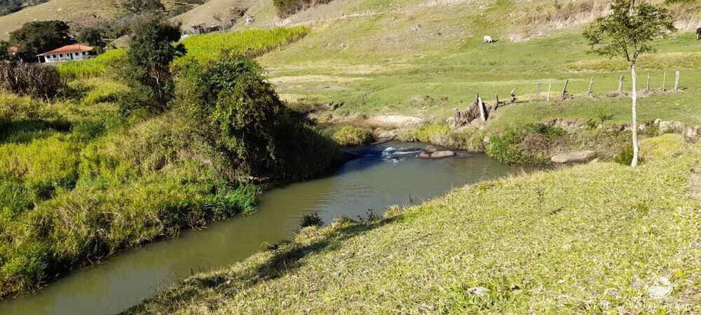 Fazenda, 121 hectares - Foto 2