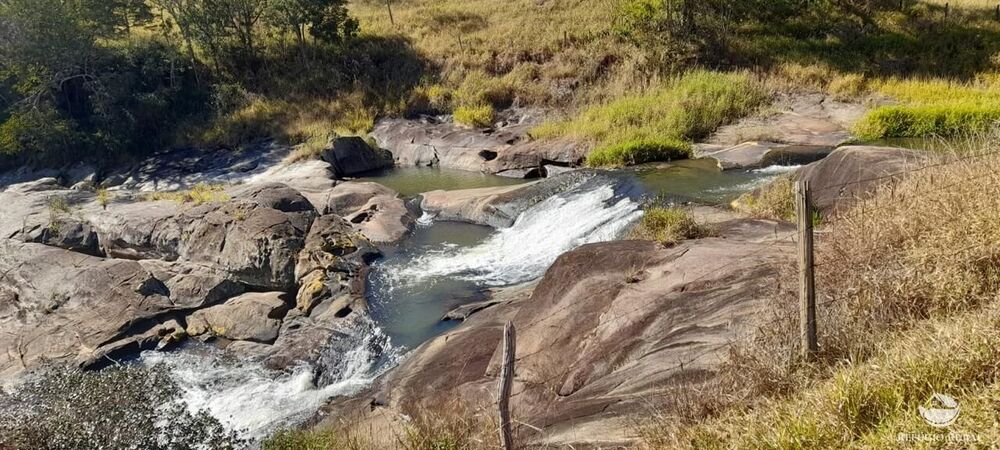 Fazenda, 121 hectares - Foto 6