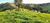 Fazenda, 121 hectares - Foto 1