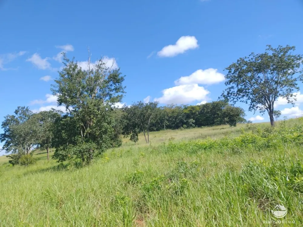 Fazenda, 283 hectares - Foto 1