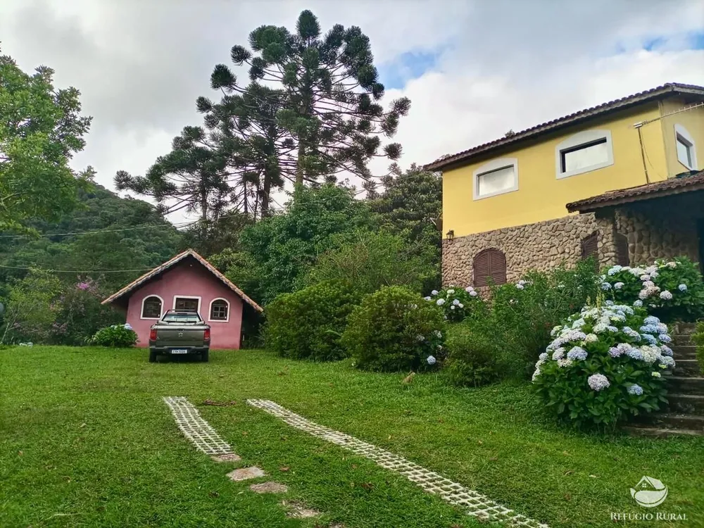 Fazenda, 203 hectares - Foto 7