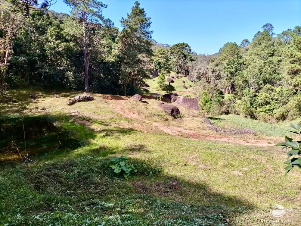 Fazenda, 203 hectares - Foto 8