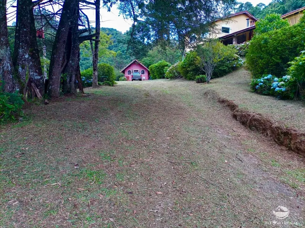 Fazenda, 203 hectares - Foto 14