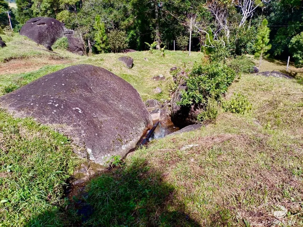 Fazenda, 203 hectares - Foto 2