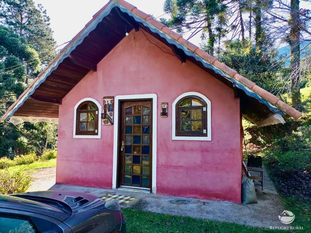 Fazenda, 203 hectares - Foto 13
