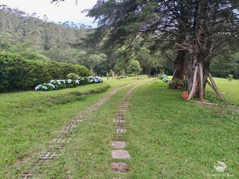 Fazenda, 203 hectares - Foto 9