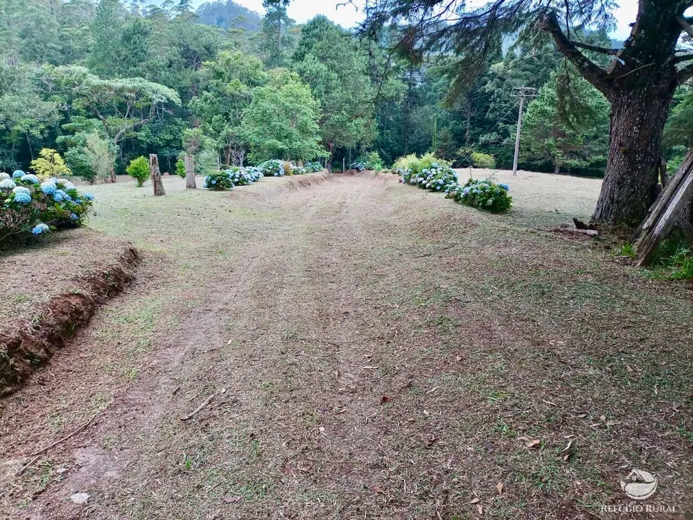 Fazenda, 203 hectares - Foto 16