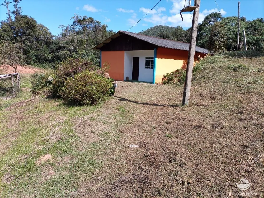 Fazenda, 203 hectares - Foto 10