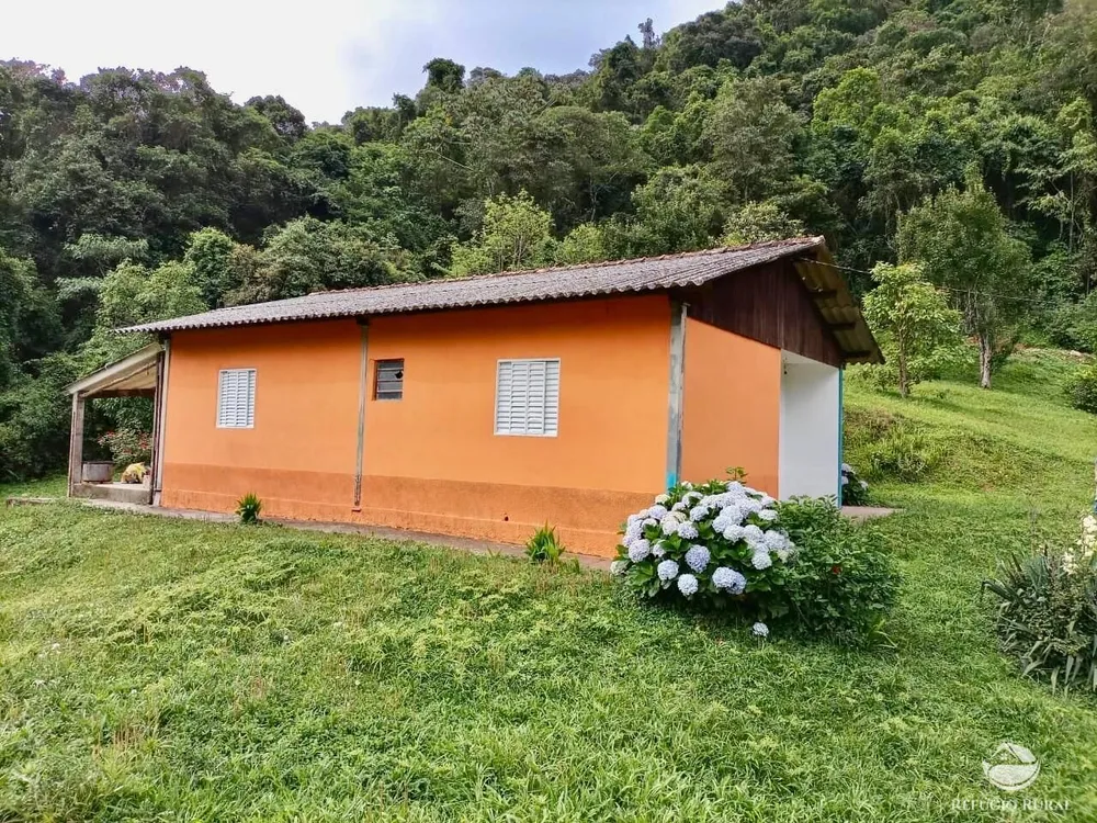 Fazenda, 203 hectares - Foto 6