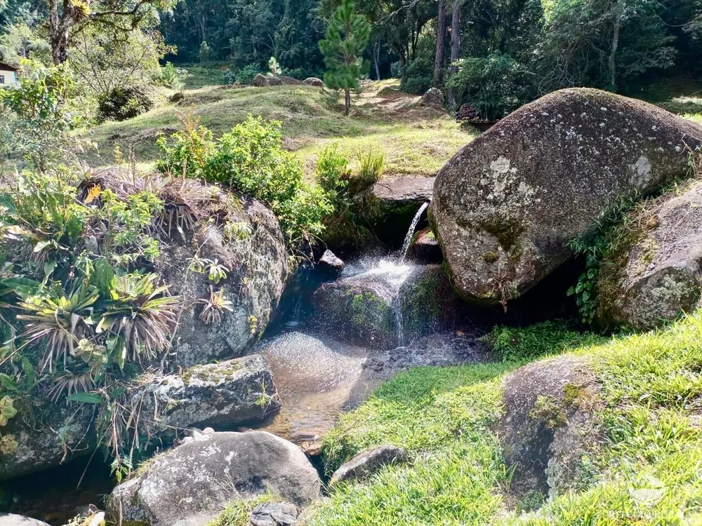 Fazenda, 203 hectares - Foto 4