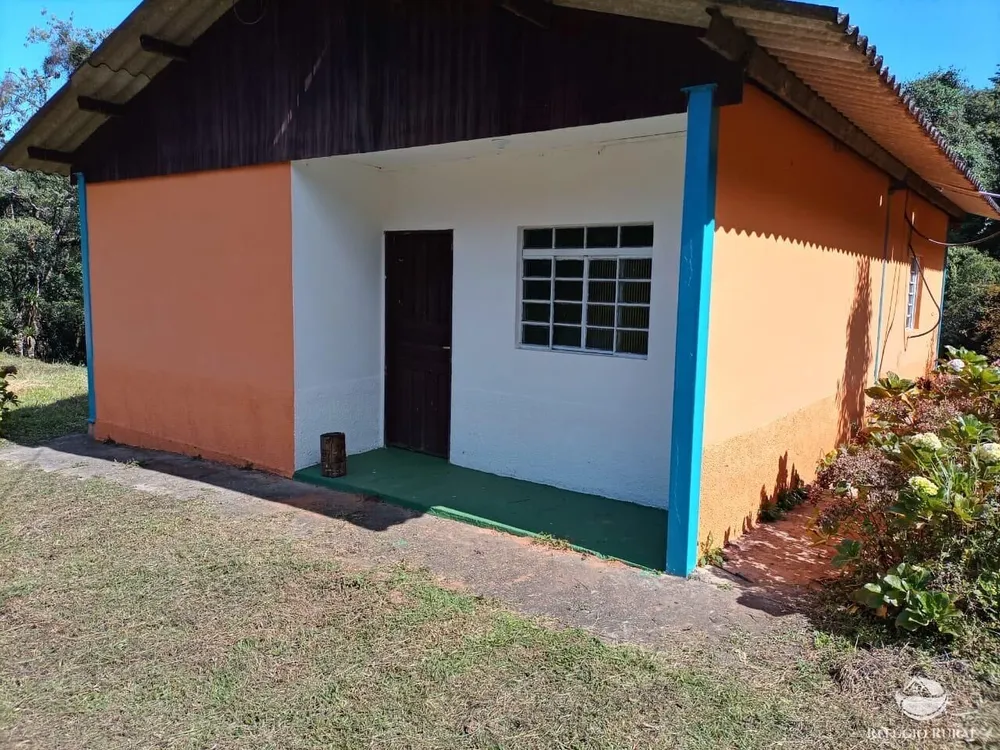 Fazenda, 203 hectares - Foto 15