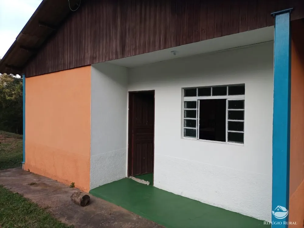 Fazenda, 203 hectares - Foto 3