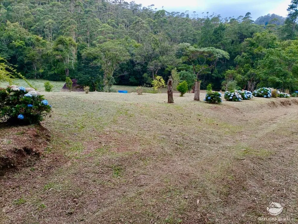 Fazenda, 203 hectares - Foto 1