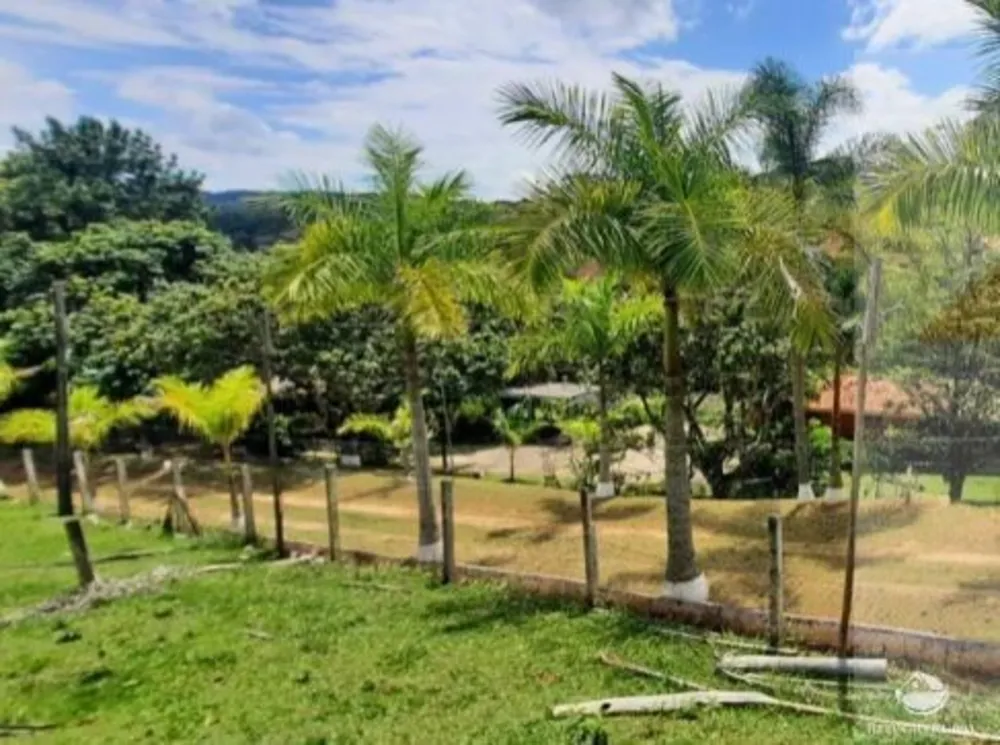 Sítio, 12 hectares - Foto 4