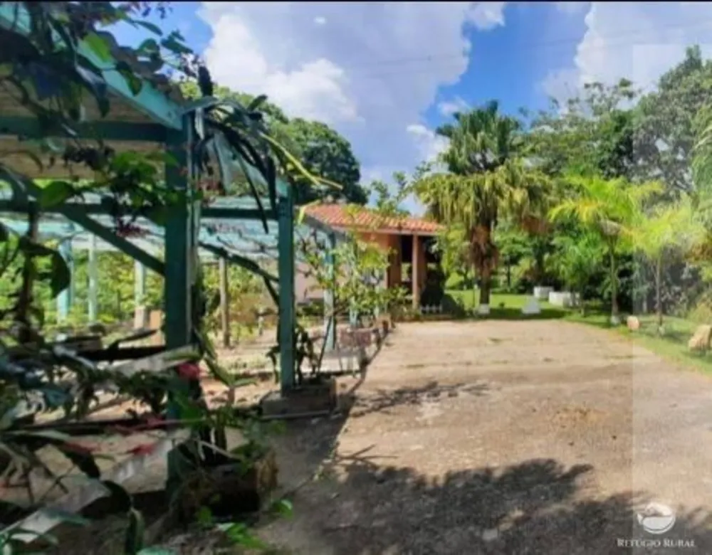 Sítio, 12 hectares - Foto 13