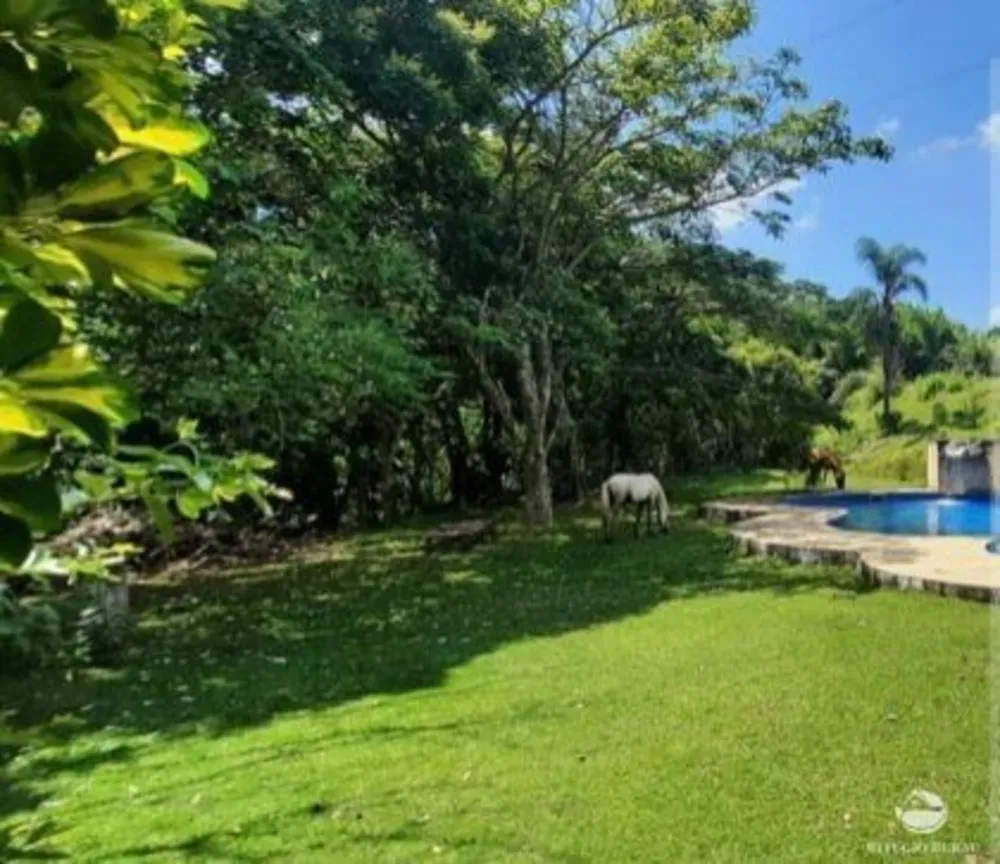 Sítio, 12 hectares - Foto 1