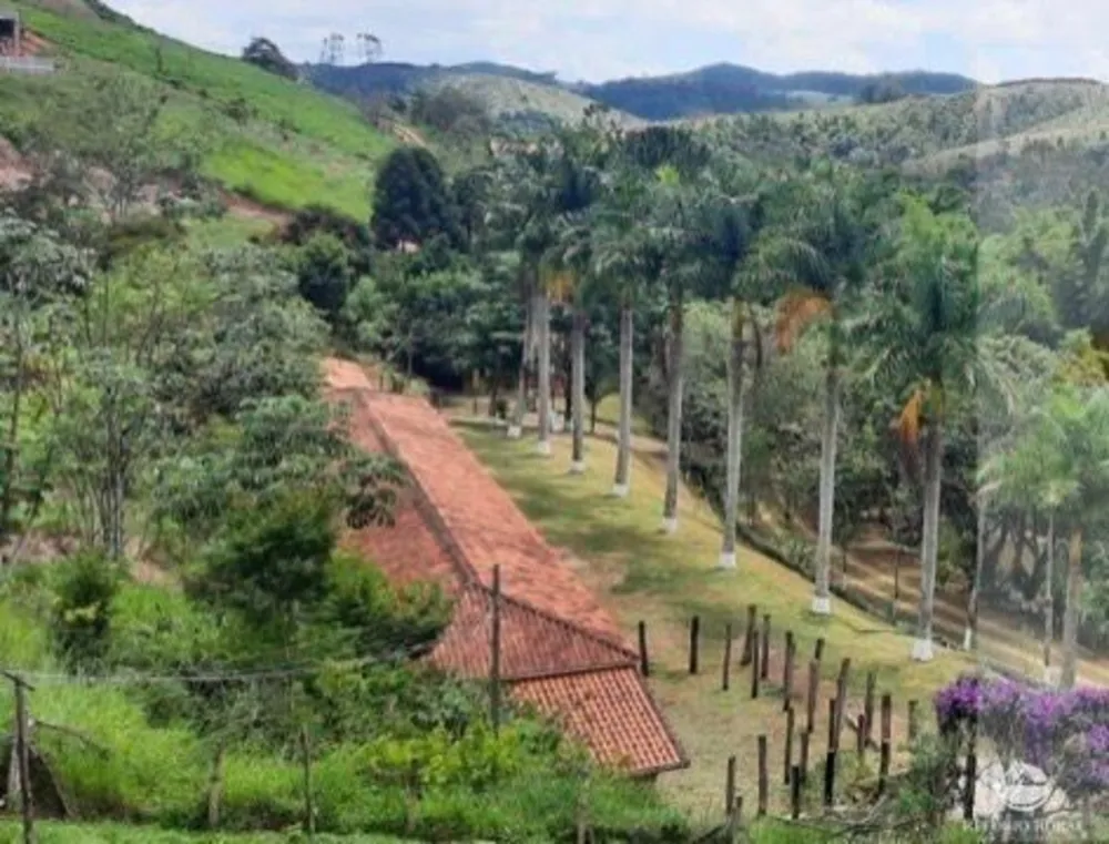 Sítio, 12 hectares - Foto 15