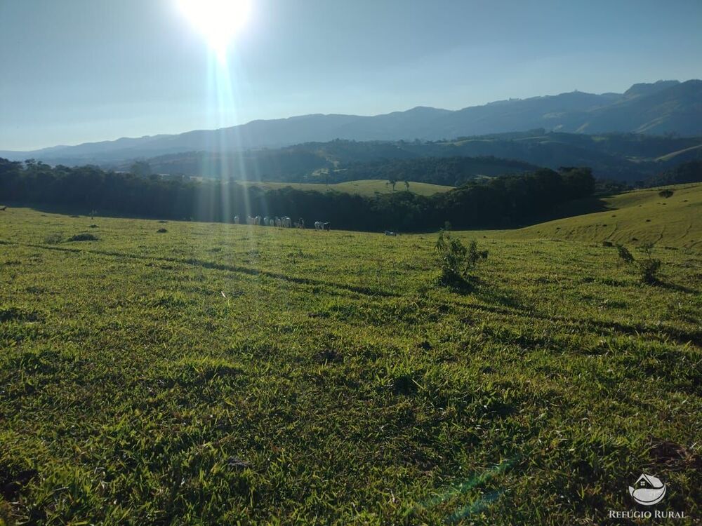 Fazenda à venda com 1 quarto, 1887600m² - Foto 11