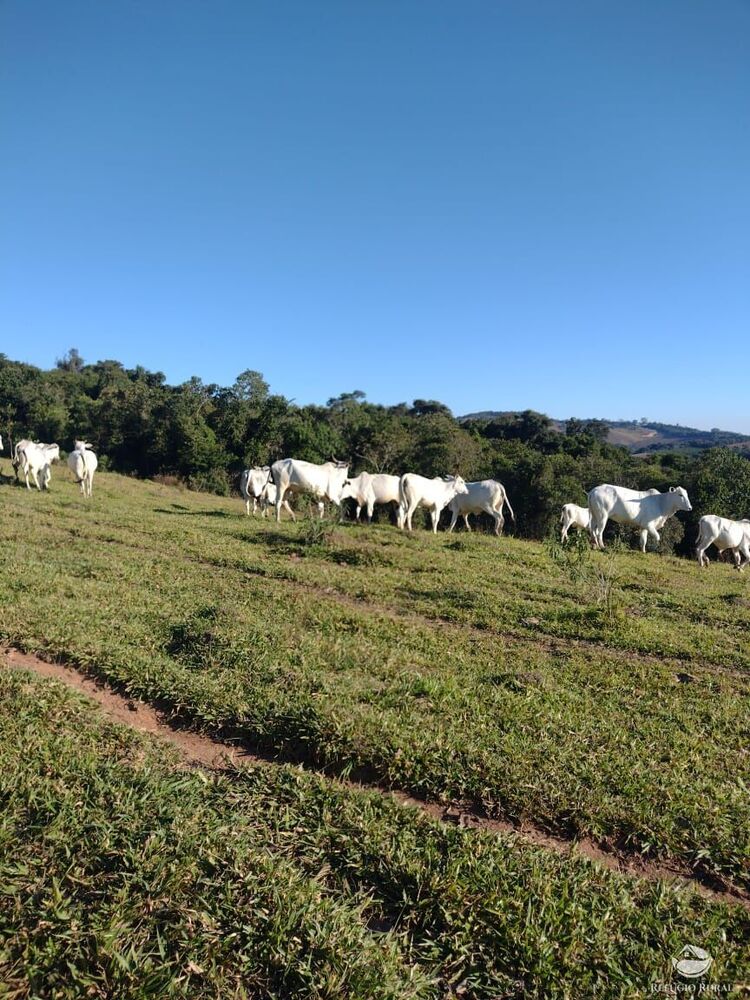 Fazenda à venda com 1 quarto, 1887600m² - Foto 3