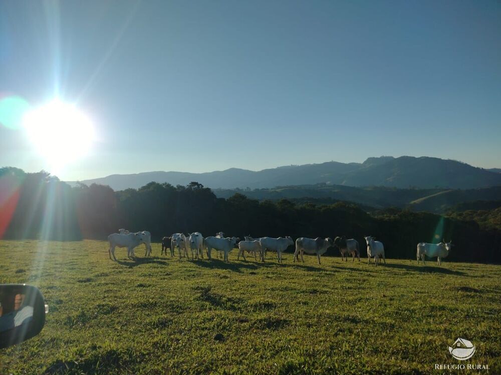 Fazenda à venda com 1 quarto, 1887600m² - Foto 5