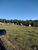 Fazenda-Sítio-Chácara, 189 hectares - Foto 14