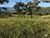 Fazenda-Sítio-Chácara, 189 hectares - Foto 2