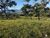 Fazenda-Sítio-Chácara, 189 hectares - Foto 8
