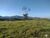 Fazenda-Sítio-Chácara, 189 hectares - Foto 23