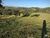 Fazenda-Sítio-Chácara, 189 hectares - Foto 12