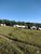 Fazenda-Sítio-Chácara, 189 hectares - Foto 3
