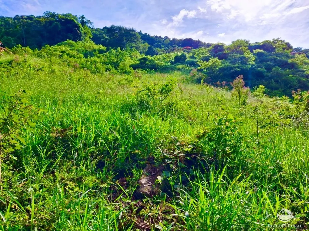Terreno, 2 hectares - Foto 2