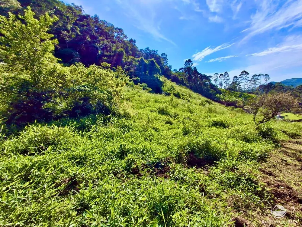 Terreno, 2 hectares - Foto 4