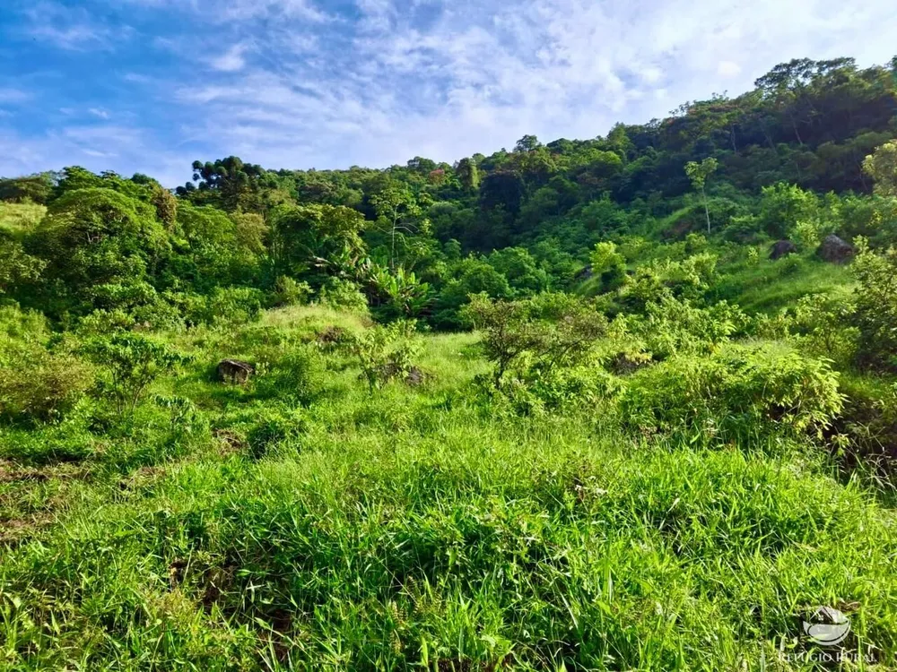 Terreno, 2 hectares - Foto 15