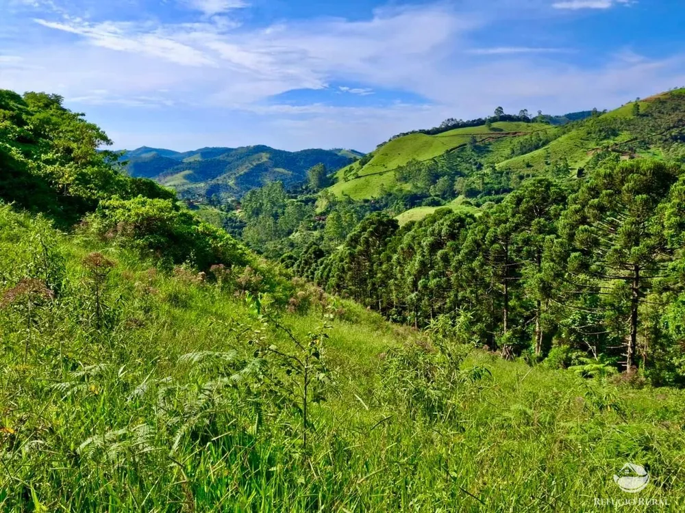 Terreno, 2 hectares - Foto 9