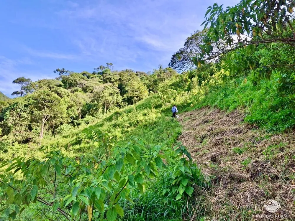 Terreno, 2 hectares - Foto 8