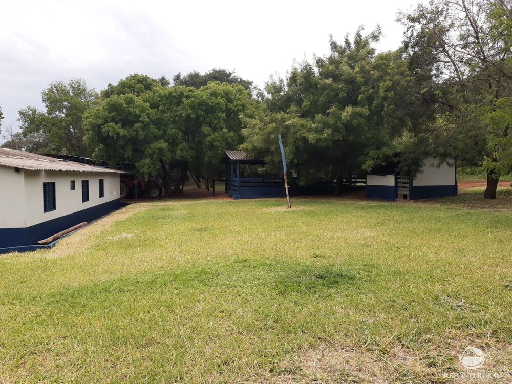 Fazenda, 773 hectares - Foto 19