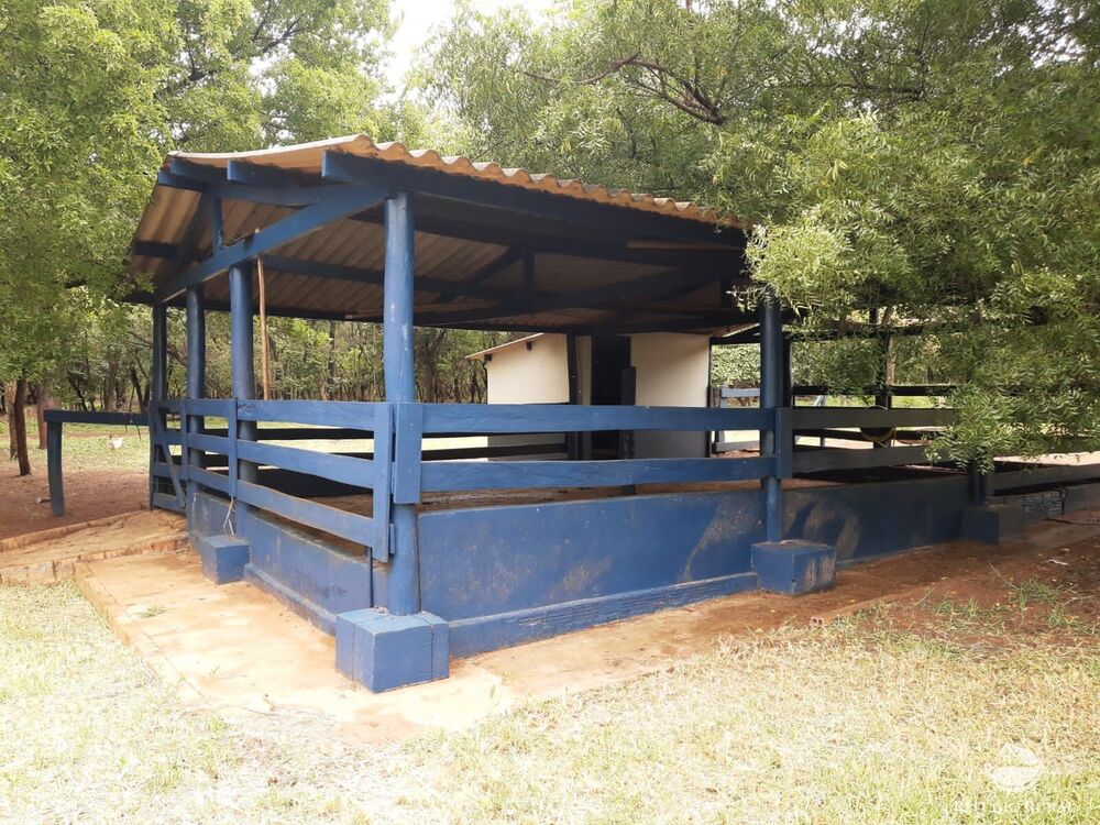 Fazenda, 773 hectares - Foto 16