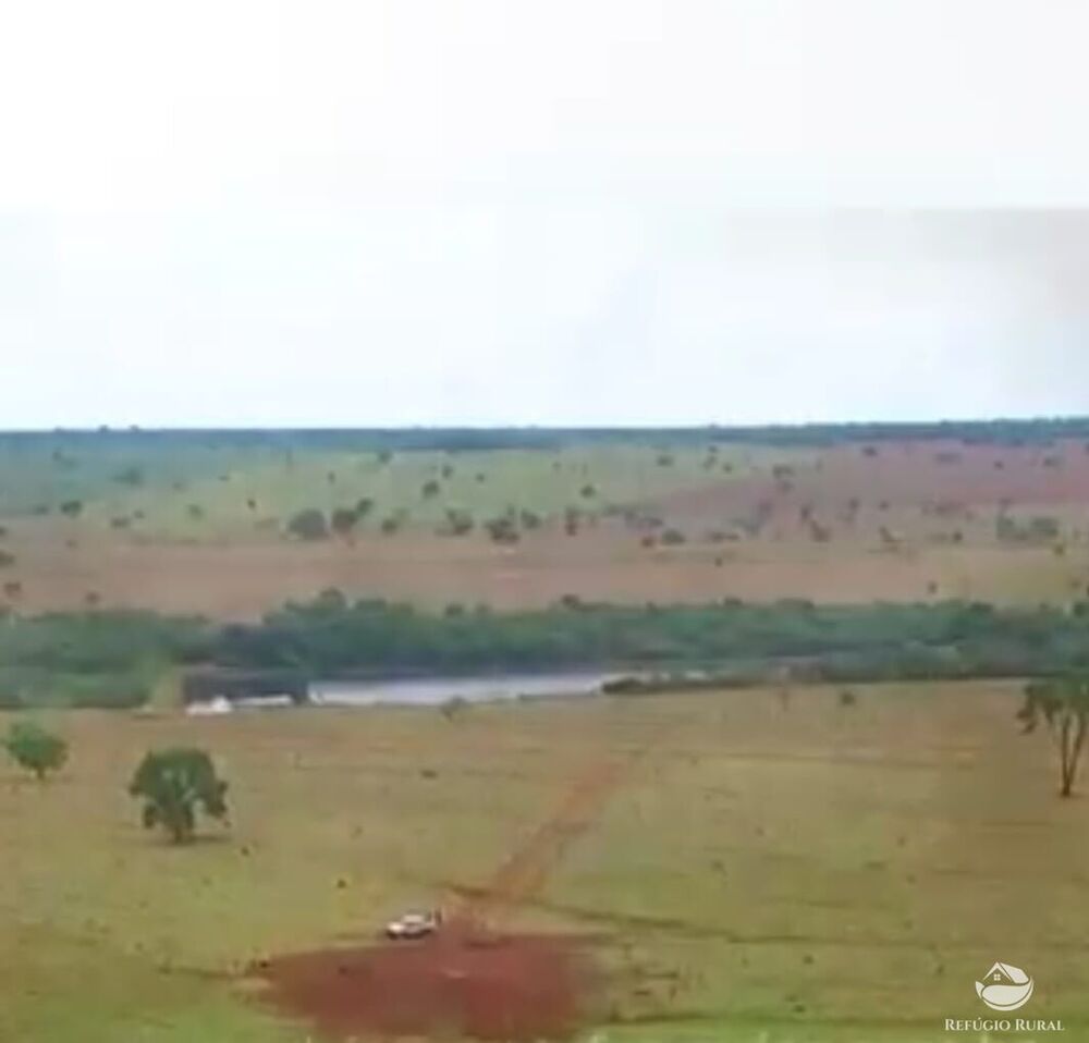 Fazenda, 773 hectares - Foto 14