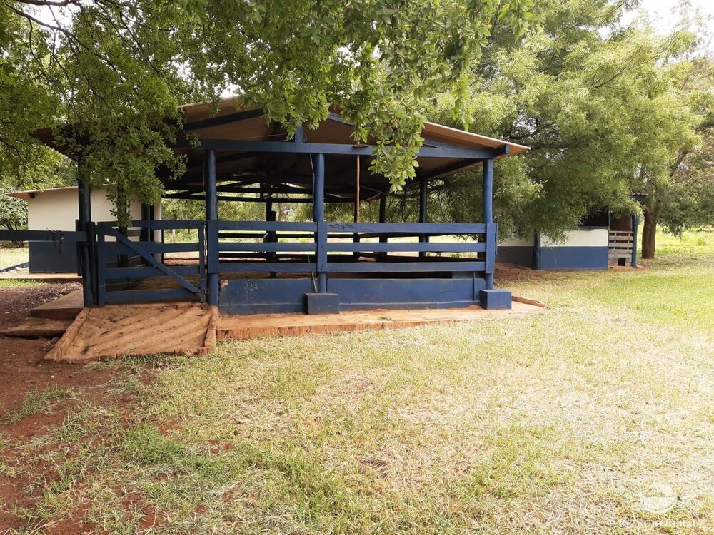 Fazenda, 773 hectares - Foto 21