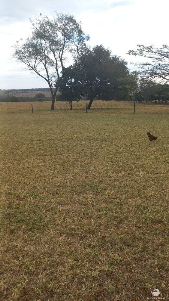 Fazenda, 773 hectares - Foto 12