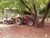 Fazenda, 773 hectares - Foto 4