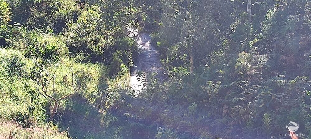 Chácara, 2 quartos, 2 hectares - Foto 4