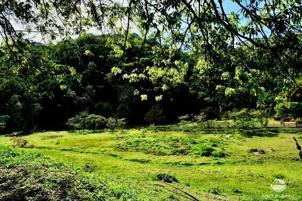 Chácara, 2 hectares - Foto 4