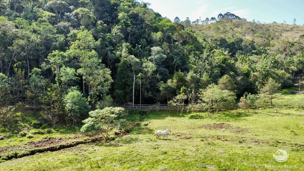 Chácara, 2 hectares - Foto 13