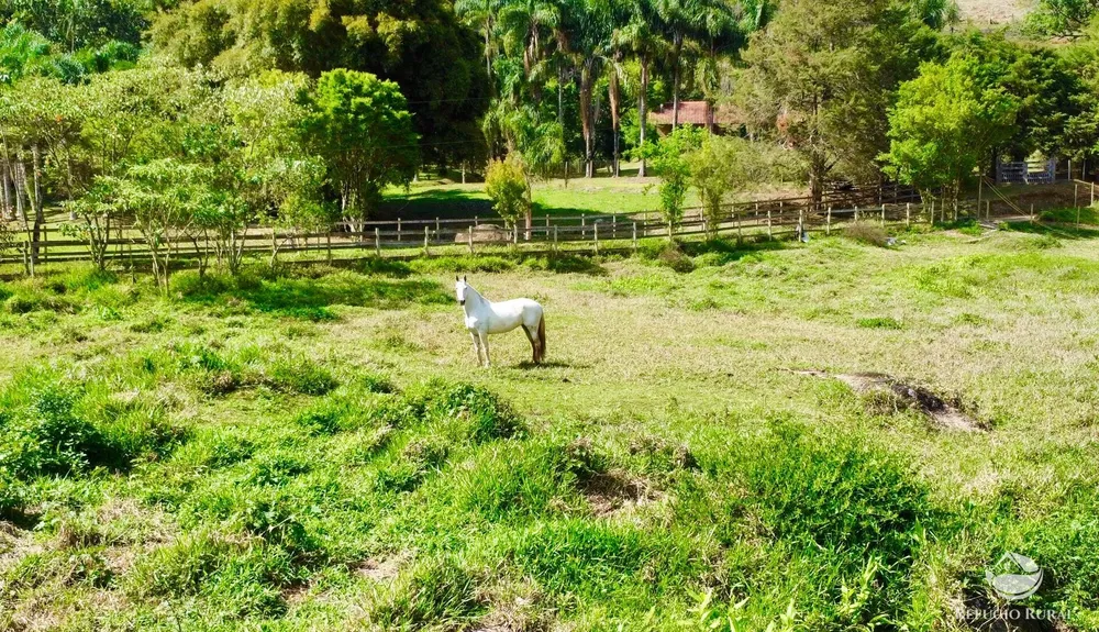 Chácara, 2 hectares - Foto 10